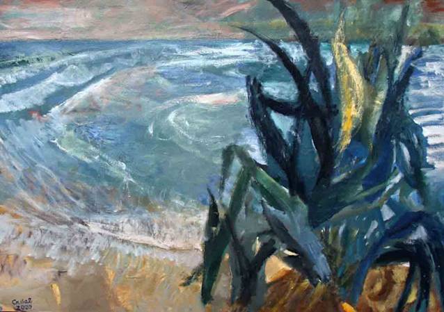 75 Wategos-Beach-66x93.jpg